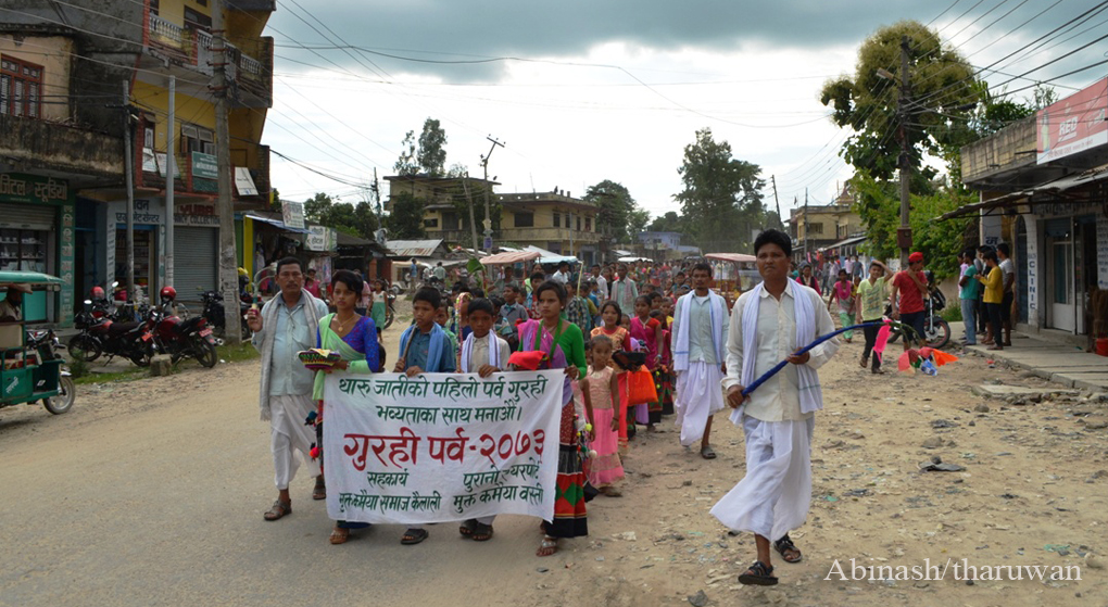 Tharu Festice Gurahi 04