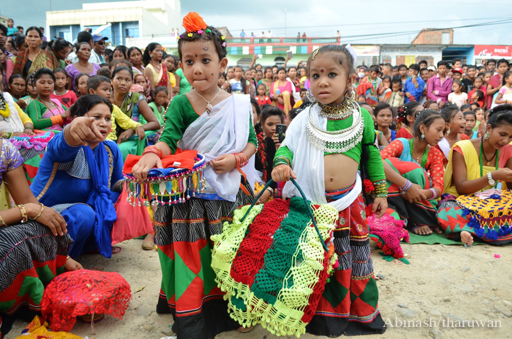 Tharu Festice Gurahi 05