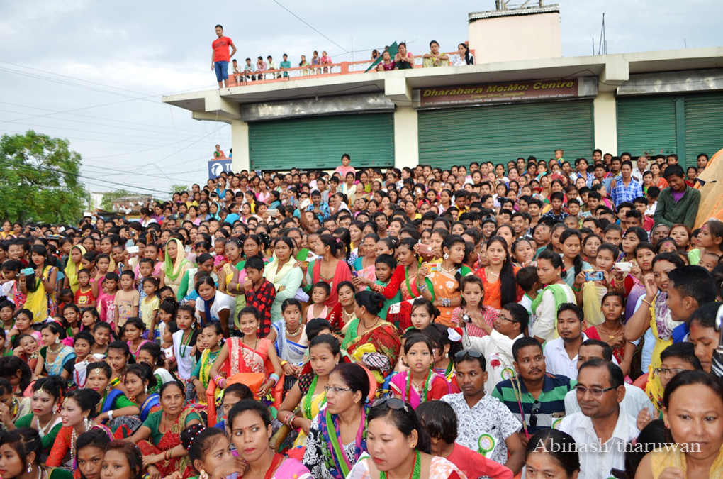 Tharu Festice Gurahi 13