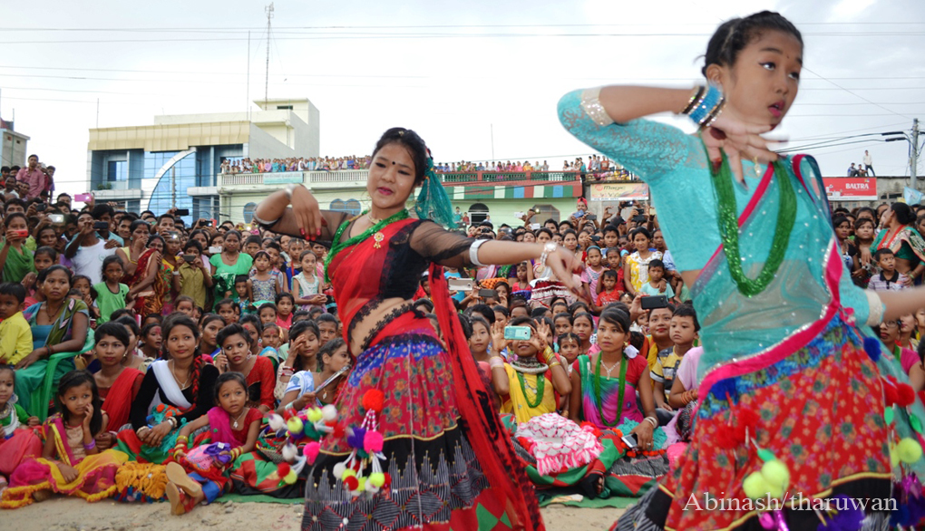 Tharu Festice Gurahi 14